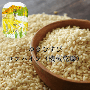 【コンバイン収穫】【11/18〜発送】令和7年産 新米ゆきむすび玄米25kg