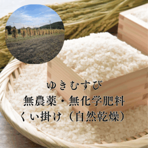 【無農薬・無化学肥料・くい掛け自然乾燥】【11/18〜発送】令和7年産 新米ゆきむすび白米25kg
