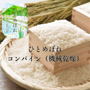 【コンバイン収穫】【11/18〜発送開始】令和7年産　新米ひとめぼれ白米5kg