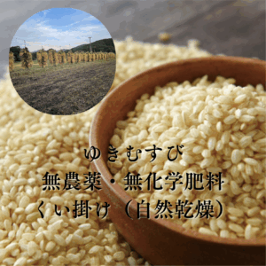 【無農薬・無化学肥料・くい掛け自然乾燥】【11/18〜発送】令和7年産 新米ゆきむすび玄米25kg