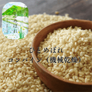 【コンバイン収穫】【11/18〜発送開始】令和7年産　新米ひとめぼれ玄米25kg